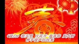 过个大肥年-张少华唱