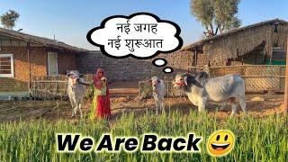 Kya हुआ हमारे साथ ??  | Return of Cowsblike ️