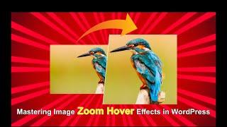 WordPress Website Design: Adding Image Zoom Hover Effect in #elementor