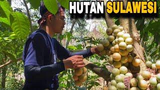 Menjelajah hutan, mencari buah dan camping