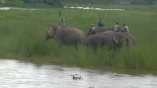 Sapana village lodge
