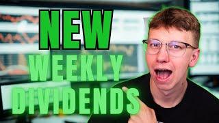 *NEW* NVII Weekly Dividend ETF Could Be WILD!