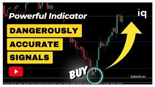 The ONLY Indicator You Will Ever Need (The Holy Grail)