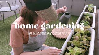 테라스 텃밭에서 상추랑 깻잎 키우기‍ 도시농부, 테라스꾸미기, 홈가드닝, home gardening, 온라인집들이, 랜선집들이