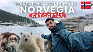 Cât costă experienta SUPREMĂ în inima Arcticii?!Norvegia , Tromsø 