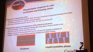 Mechanisms For Crop Protection Dynamics and Potentials of Phospholipid Signals