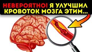 Ни ты, ни твой доктор не знали! Эти простые рецепты улучшат кровоток головного мозга