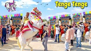 Tange Tange Dance || Tange Tange Song || Horse Dance || Dj Remix Song || Viral Song 2024