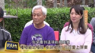 《村民大會》EP518：台灣另類黑金(屏東內埔)