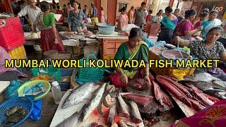 Mumbai Koliwada Fish Market| Mumbai Worli Biggest Fish Market| मुंबई का सबसे सस्ता Fish Market