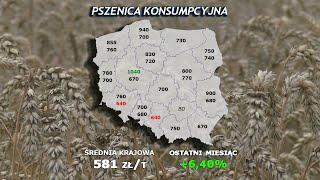 #251 agro wiadomości nonstop   30 04 2024