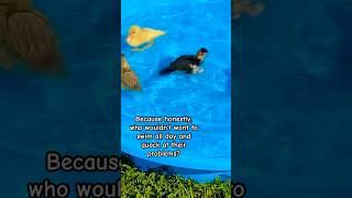 Daily Dose #viralvideo #shorts #short #duck #funny #fyp #hilarious #shortvideo #shortsfeed #cute