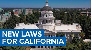 California’s New Laws for 2025