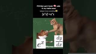 My Last Two Brain Cells During a Math Exam #MathMemes #Calculus #FunnyCats #Shorts #mathway