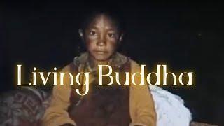 Finding The Reincarnated Buddha | Living Buddha Documentary