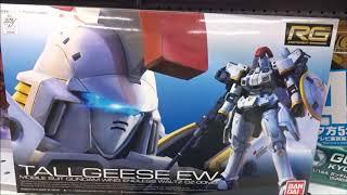 新機動戦記ガンダムW Endless Waltz  RG 1/144 トールギス EW