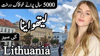 Travel to Lithuania | Amazing History and Documentary about Lithuania | Facts about Lithuania