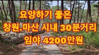 마산 산세좋은 임야매매 4200만원