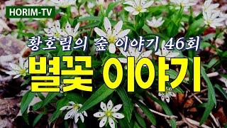 별꽃무리, KBS 1R 황호림의 숲이야기 47회