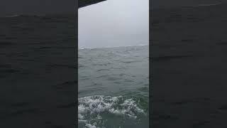 Ilha dos lobos Torres RS