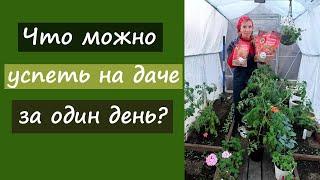 Что можно успеть на даче за один день?