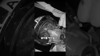 추락하는 파일럿의 셀카