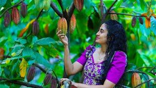 Homemade Cocoa Powder  Chocolate Moist Cakes, Honey Cones & More Delicious Sri Lankan Sweets