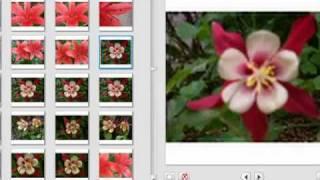 Importing photos with Picasa