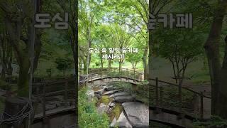 마산 숲 속 작은 신상카페 추천  #창원카페 #마산카페 #창원신상카페 #마산신상카페 #마산카페추천 #숲카페 #숲