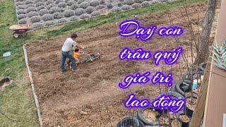 Vì sao VỢ Việt Chồng Amish quyết định rời Pennsylvania để qua Tennessee? vì muốn xa lánh Amish?
