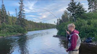 This Brook is LOADED with ATLANTIC SALMON ! ( tons of action ! )