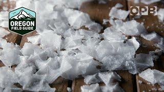 Centuries of salt making on the Pacific coast | Oregon Field Guide