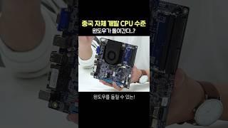 중국 '자체 개발' CPU 수준