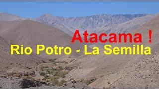 Excursion to La Semilla and Río Potro in the Andes of the Atacama Region, Chile