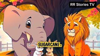 bedtime story - story in english with moral -  kids adventure stories - RR Stories Tv