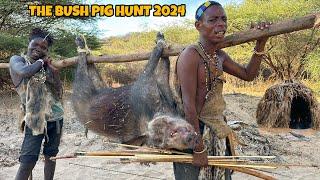 BLOOD and COURAGE: The Hadzabe vs. a Wild Bush Pig!