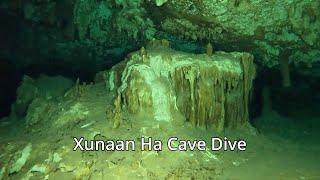 Xunaan Ha: Five minutes diving down the main cave line