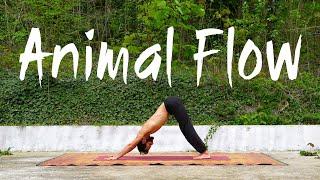 Intuitive Animal Flow I The Yogi Nomad