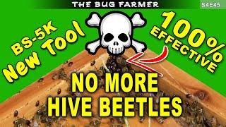 Eliminate ALL Hive Beetles the Easy Way | My Apiary is Beetle Free #beekeeping #bees #hivebeetle