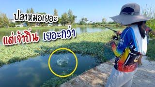 เป็นปลาหมอ ที่ตกได้แล้ว ดีใจที่สุด | เด็กตกปลา