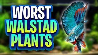 Bad Plants For Walstad Method Tanks! (There's Better Options For Your Dirted Planted Tanks)