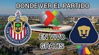 LO QUE TIENES QUE SABER DEL CHIVAS VS PUMAS | DONDE VER PARTIDO GRATIS EN VIVO CHIVAS HOY