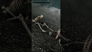 Skyrim - skeletons near Winterhold