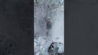 Winter 2018