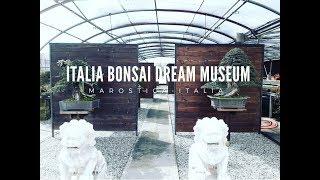 ITALIA BONSAI DREAM MUSEUM