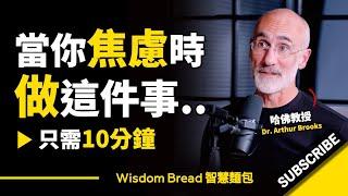 當你焦慮時，做這件事10分鐘.. ► 聽聽哈佛教授怎麼說 - Dr. Arthur Brooks 亞瑟．布魯克斯（中英字幕）