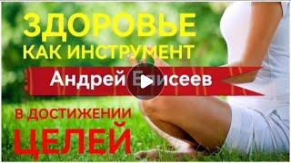 ЗДОРОВЬЕ КАК ИНСТРУМЕНТ В ДОСТИЖЕНИИ ЦЕЛЕЙ. Андрей Елисеев