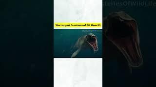 Mosasaurus – The King of the Cretaceous Seas #shorts #shortvideo #mosasaurus #facts