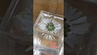 A new way for flowers in Epoxy Resin  #shorts