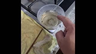 PHILIPS 5400 SERIES LATTEGO GRINDER ROTATING BUT NO GRINDING ANY BEANS?